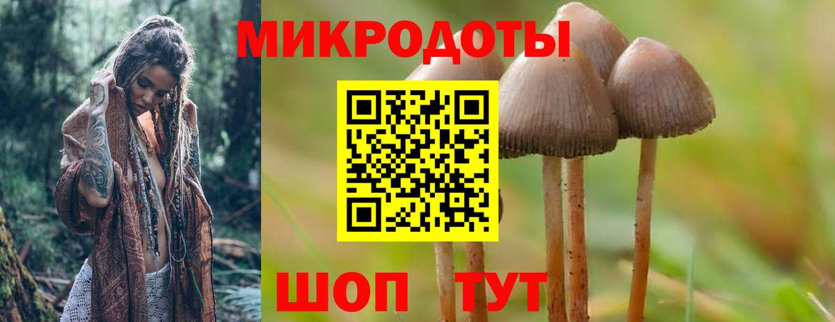 Псилоцибиновые грибы Magic Shrooms  Вход с VPN  Назарово 